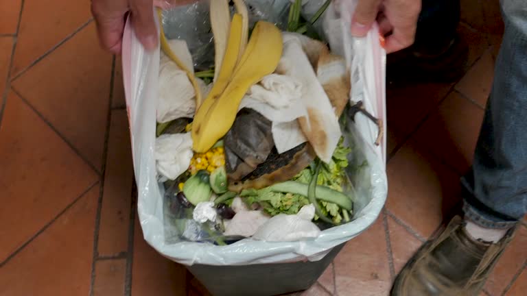 Professional Junk Removal Services in South Carthage, TN